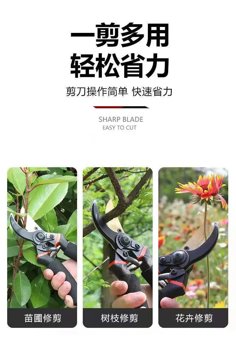 Japan Thickened SK5 Steel Branch Scissors Garden Scissors Pruning Fruit Trees Gardening Tools and Equipment