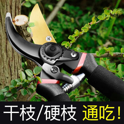 Japan Thickened SK5 Steel Branch Scissors Garden Scissors Pruning Fruit Trees Gardening Tools and Equipment